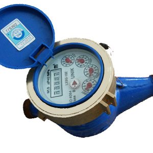 Đồng hồ nước Unik DN25